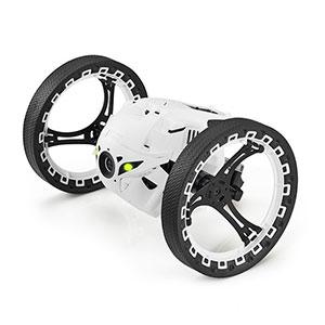Parrot Jumping SUMO